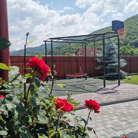 Dio Vendeghaz Hotel Praid Bagian luar foto