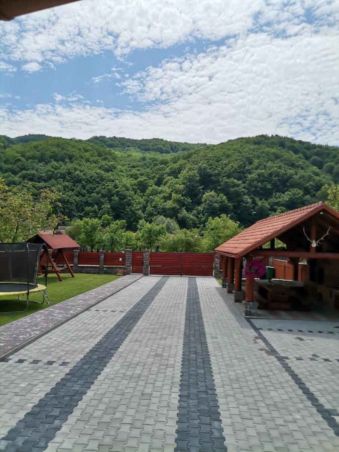 Dio Vendeghaz Hotel Praid Bagian luar foto